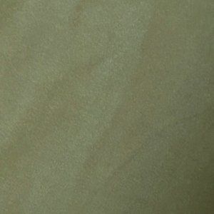 LuLaroe TC Leggings 12-18 solid olive color